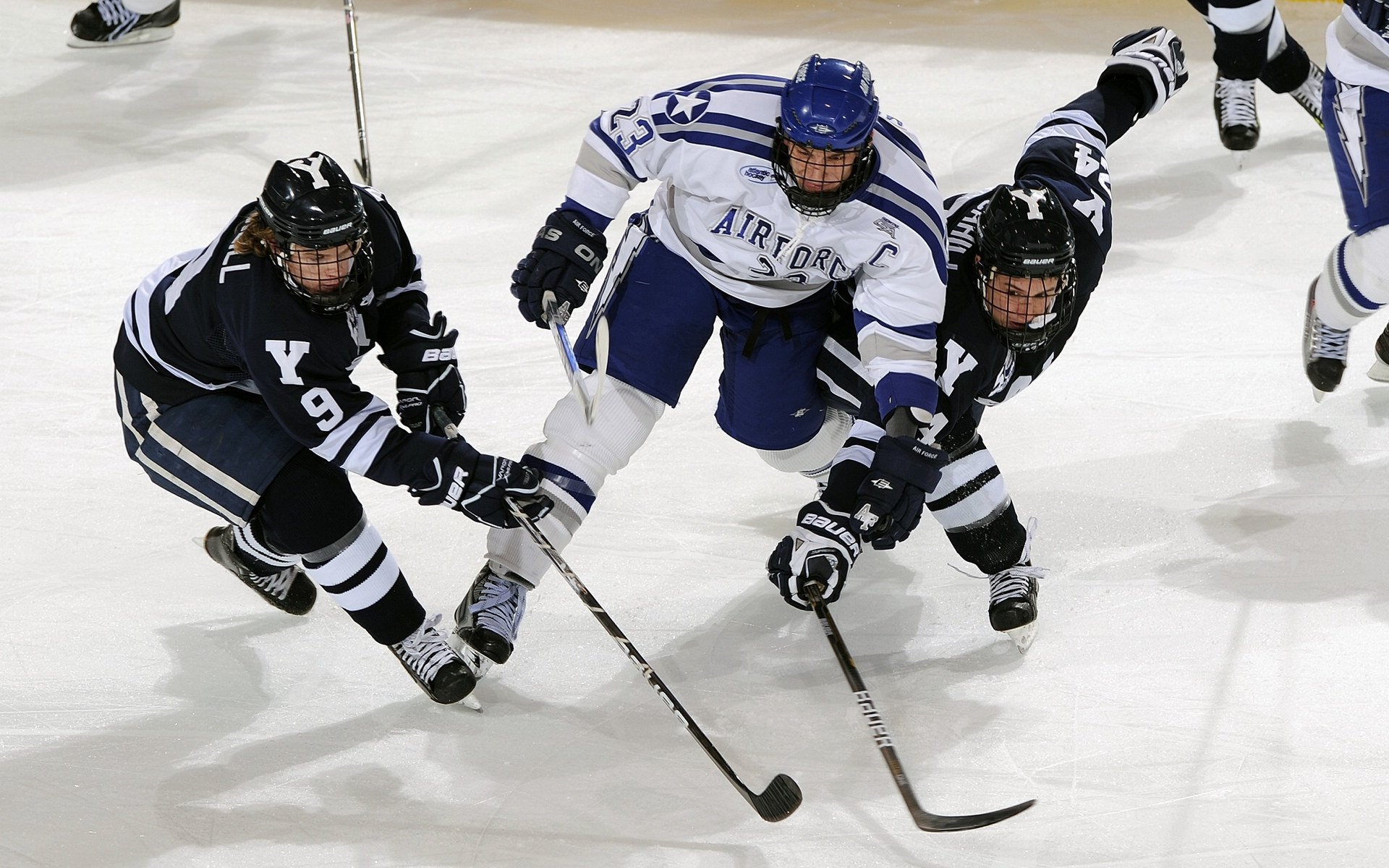 体育新闻中心协办全国体育数字传媒创新大会,体育数字化平台