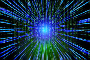 九游体育登陆-新加坡队未来之路：如何在全球乒乓赛事中争夺更多荣誉，新加坡乒乓球厉害吗